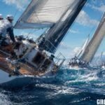 Sailor Piece Races 2026: Ultimate Guide, Tier List, All 23 Races, Buffs & How to Roll